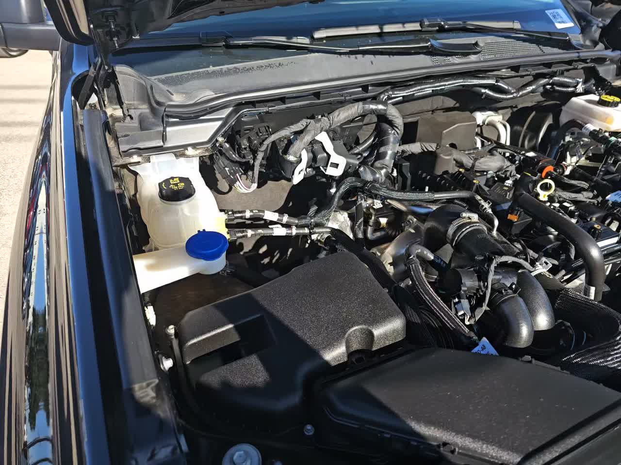 2024 Ford Ranger XLT AWD