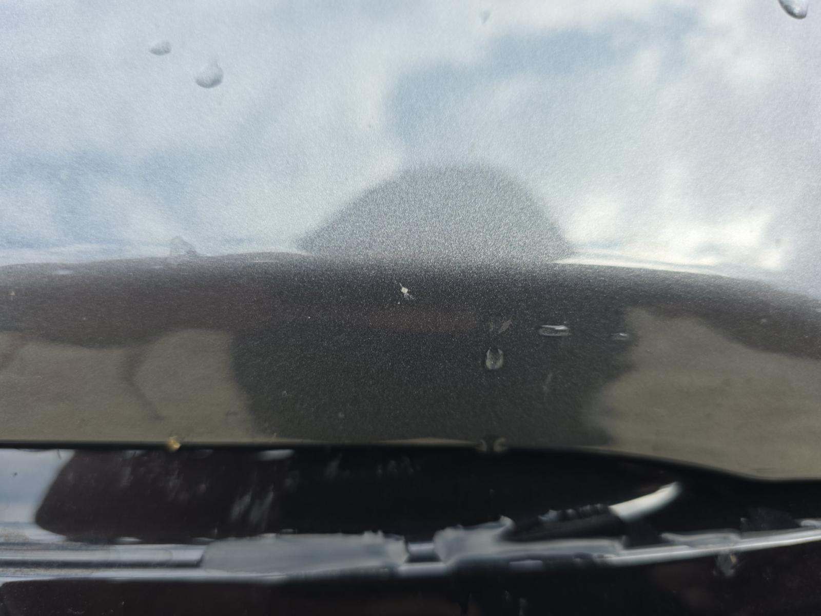 2025 Ford F-150 XLT AWD