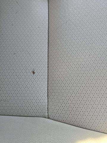 2014 Honda Accord EX-L FWD