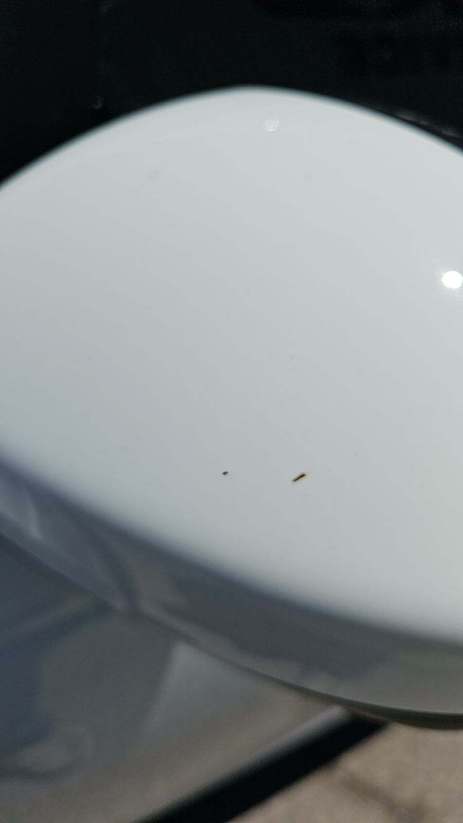 2021 Land Rover Discovery Sport S AWD