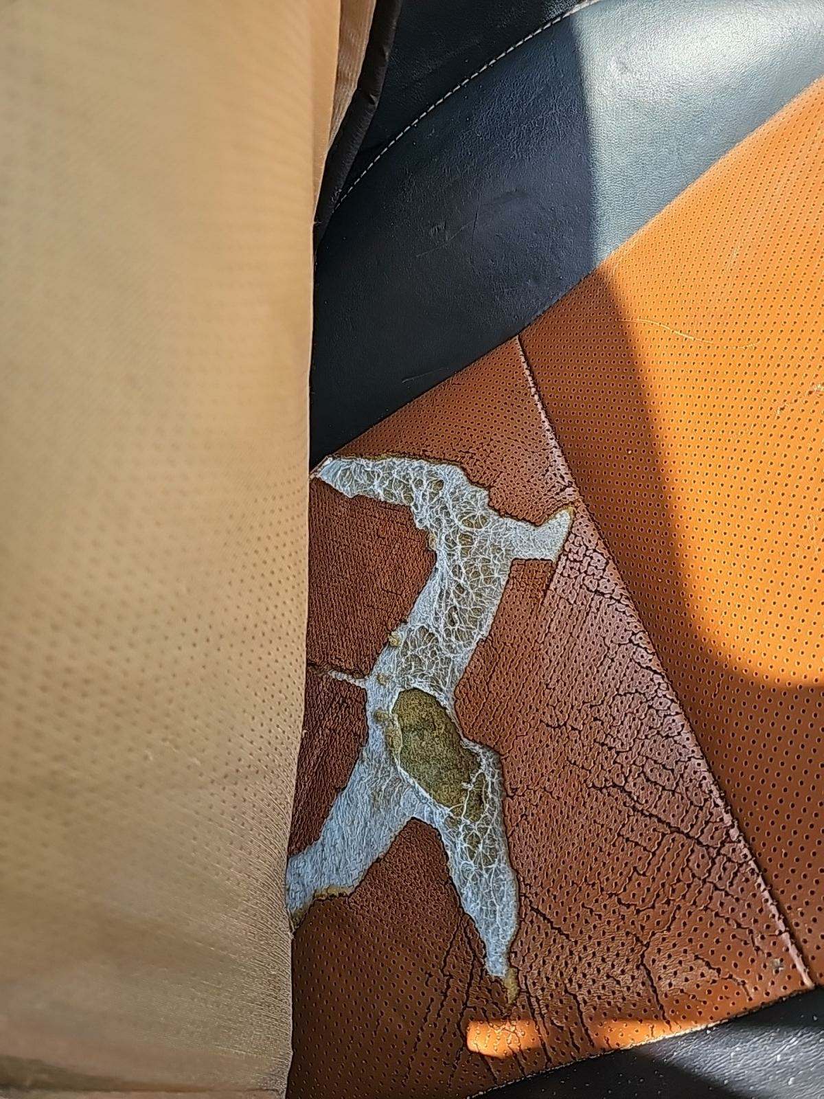 2013 Lexus IS IS 250 RWD