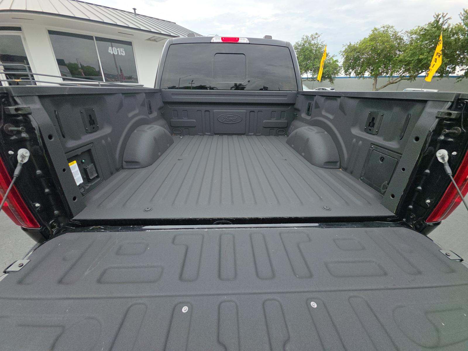 FORD F-150 - 10
