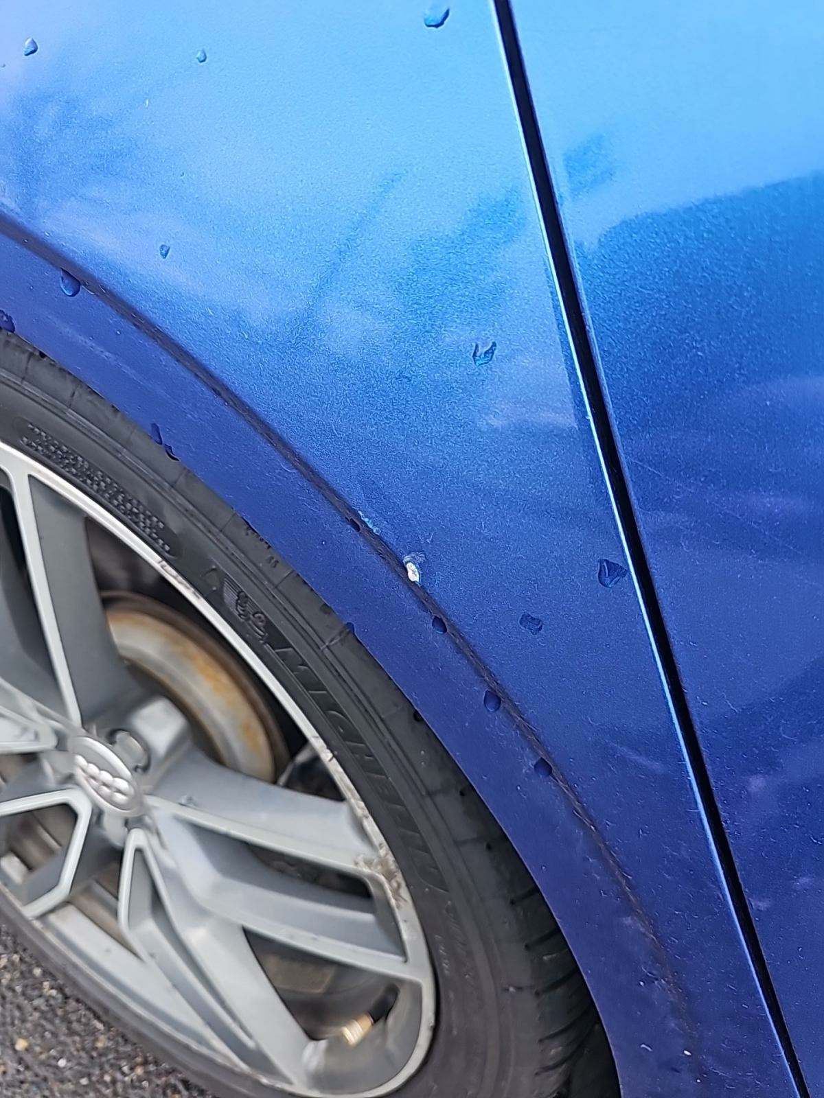 2015 Audi S3 Premium Plus AWD