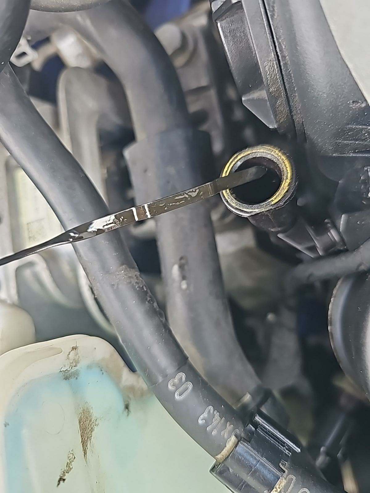 2015 Audi S3 Premium Plus AWD