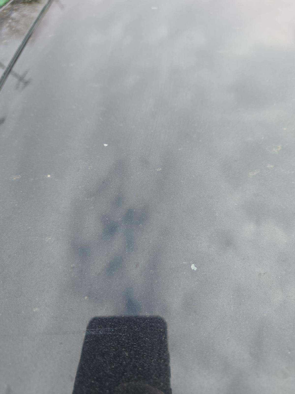 2022 Ford Escape SE AWD