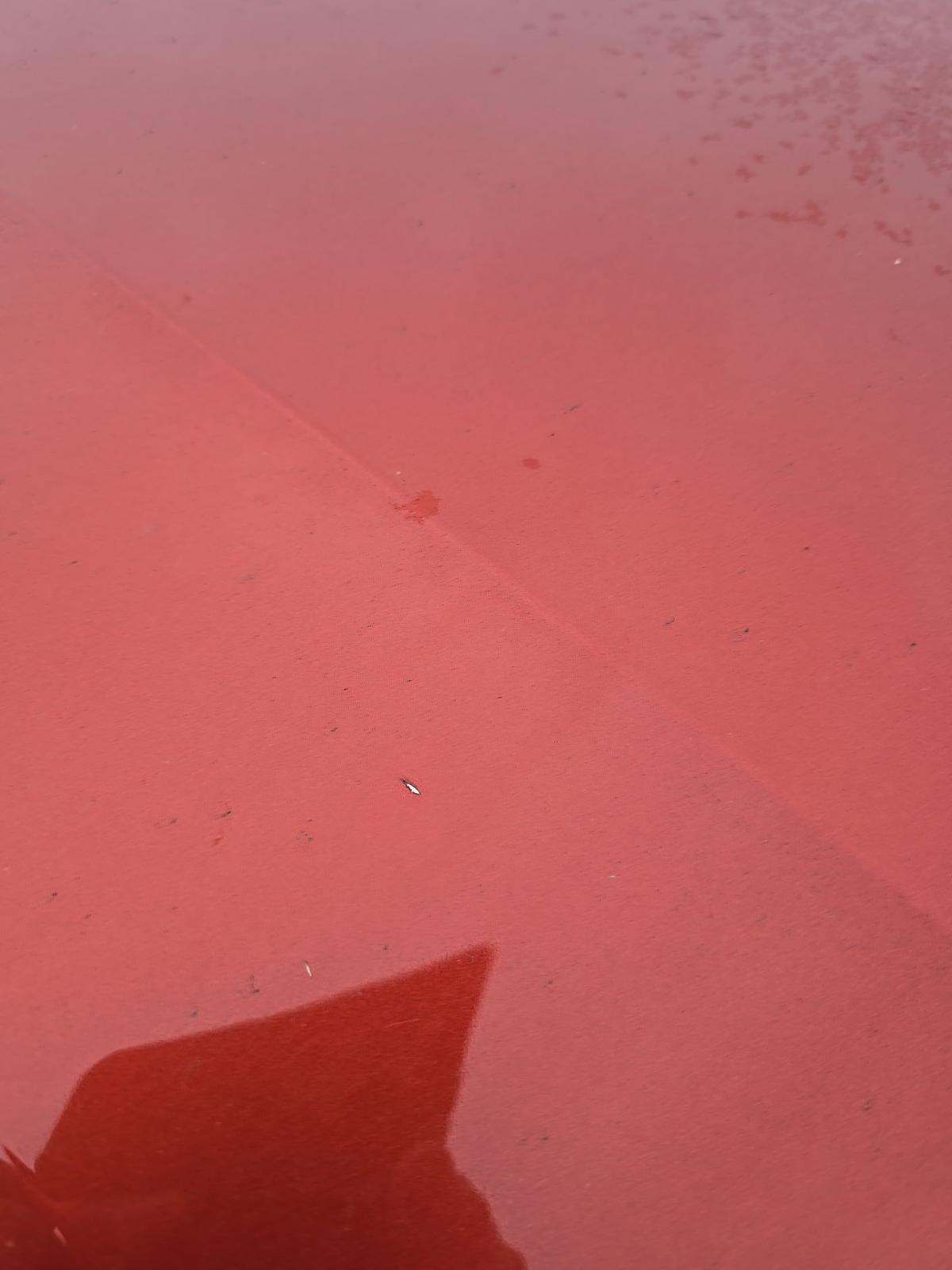 2024 BMW 4 Series M440i xDrive AWD