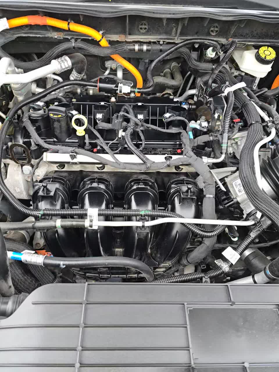 2021 Ford Escape Plug-In Hybrid SE FWD