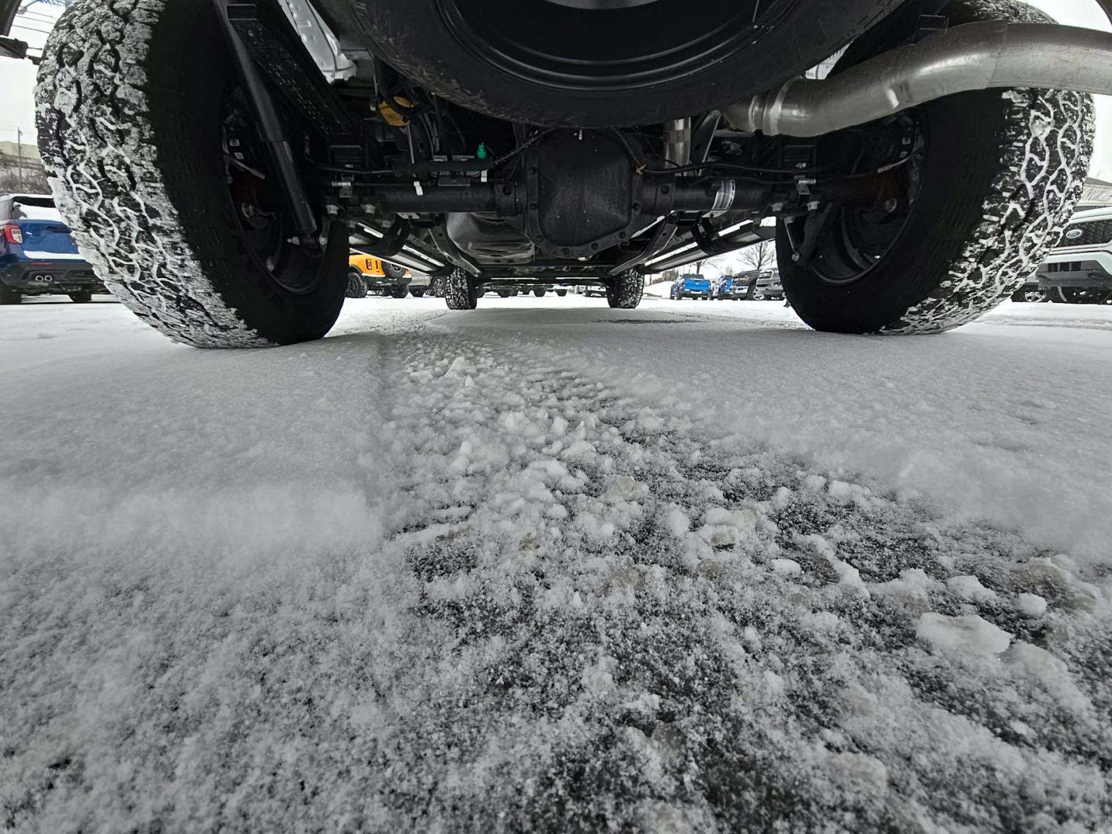 2025 Ford F-150 XLT AWD