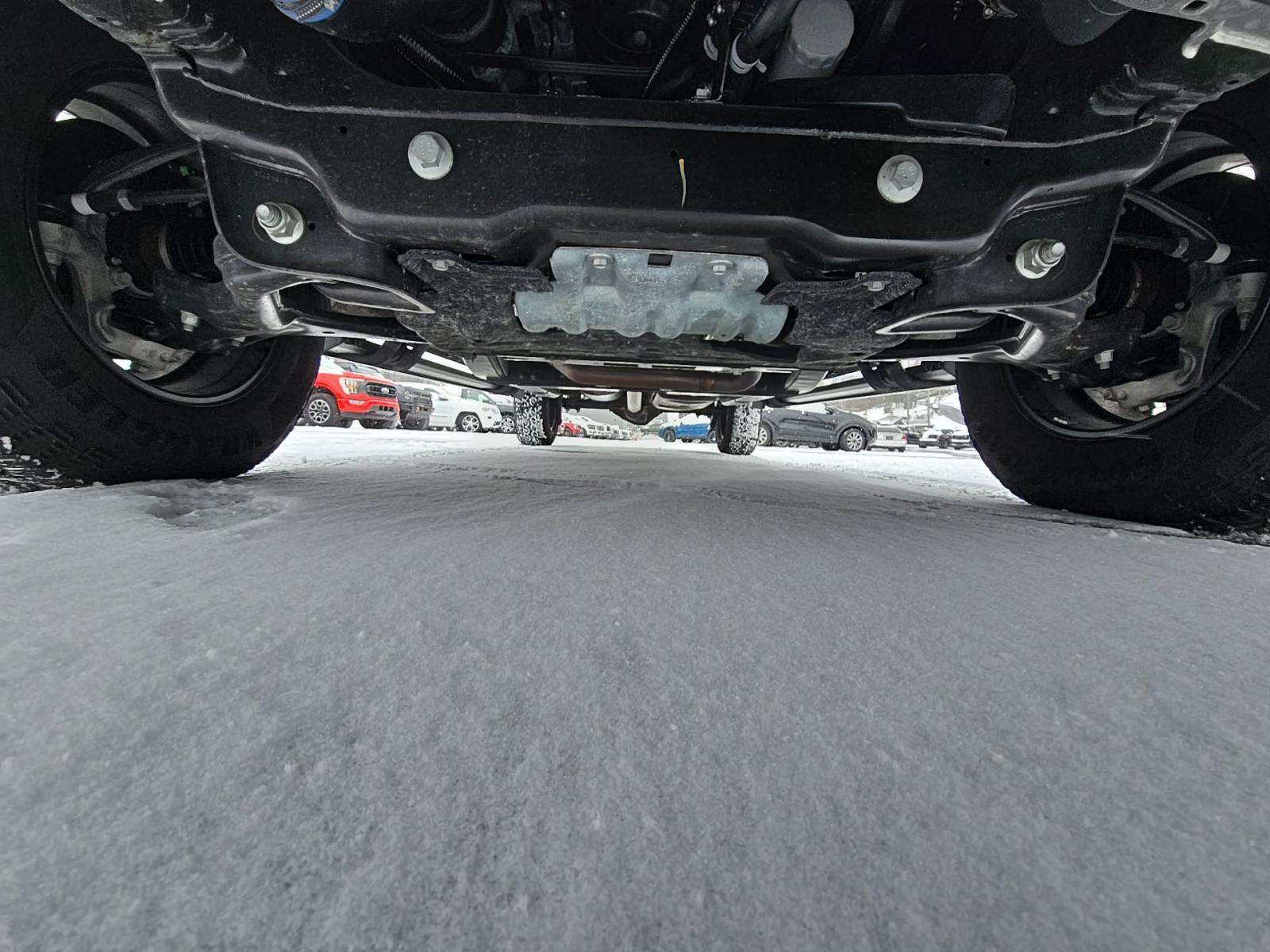 2025 Ford F-150 XLT AWD