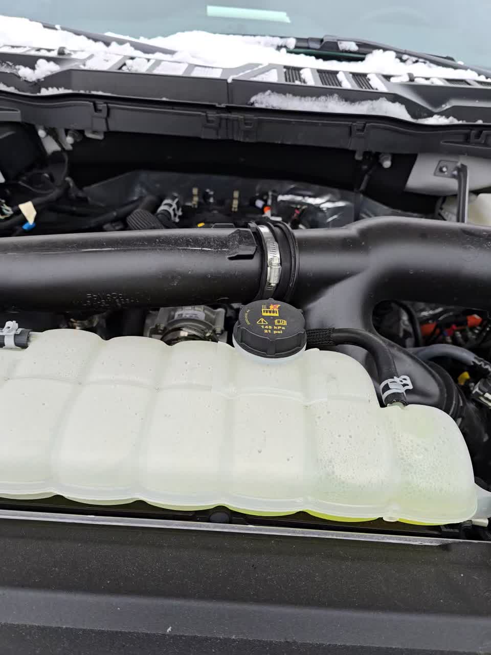 2025 Ford F-150 XLT AWD