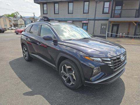 HYUNDAI HYBRID SEL CONVENIENCE - 4