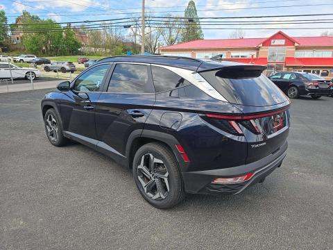 HYUNDAI HYBRID SEL CONVENIENCE - 2