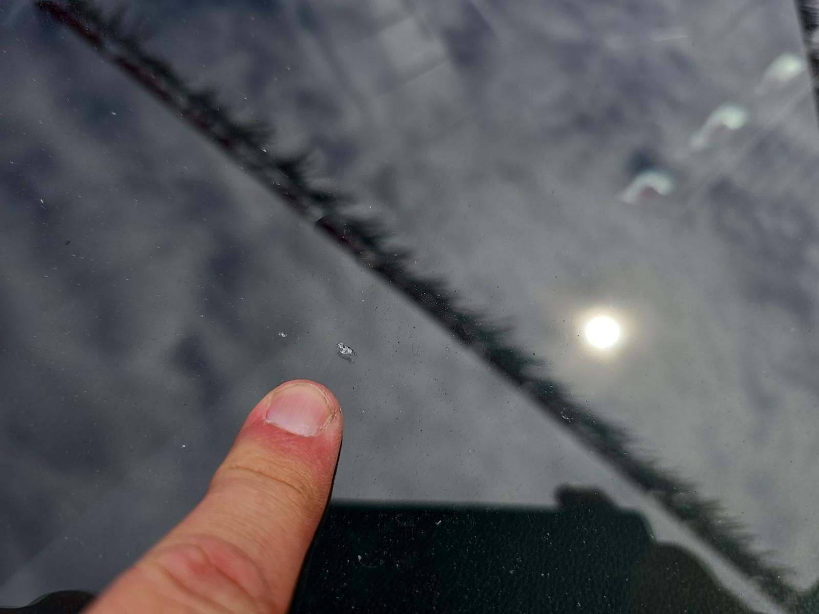 2023 Ford Mustang EcoBoost Premium RWD