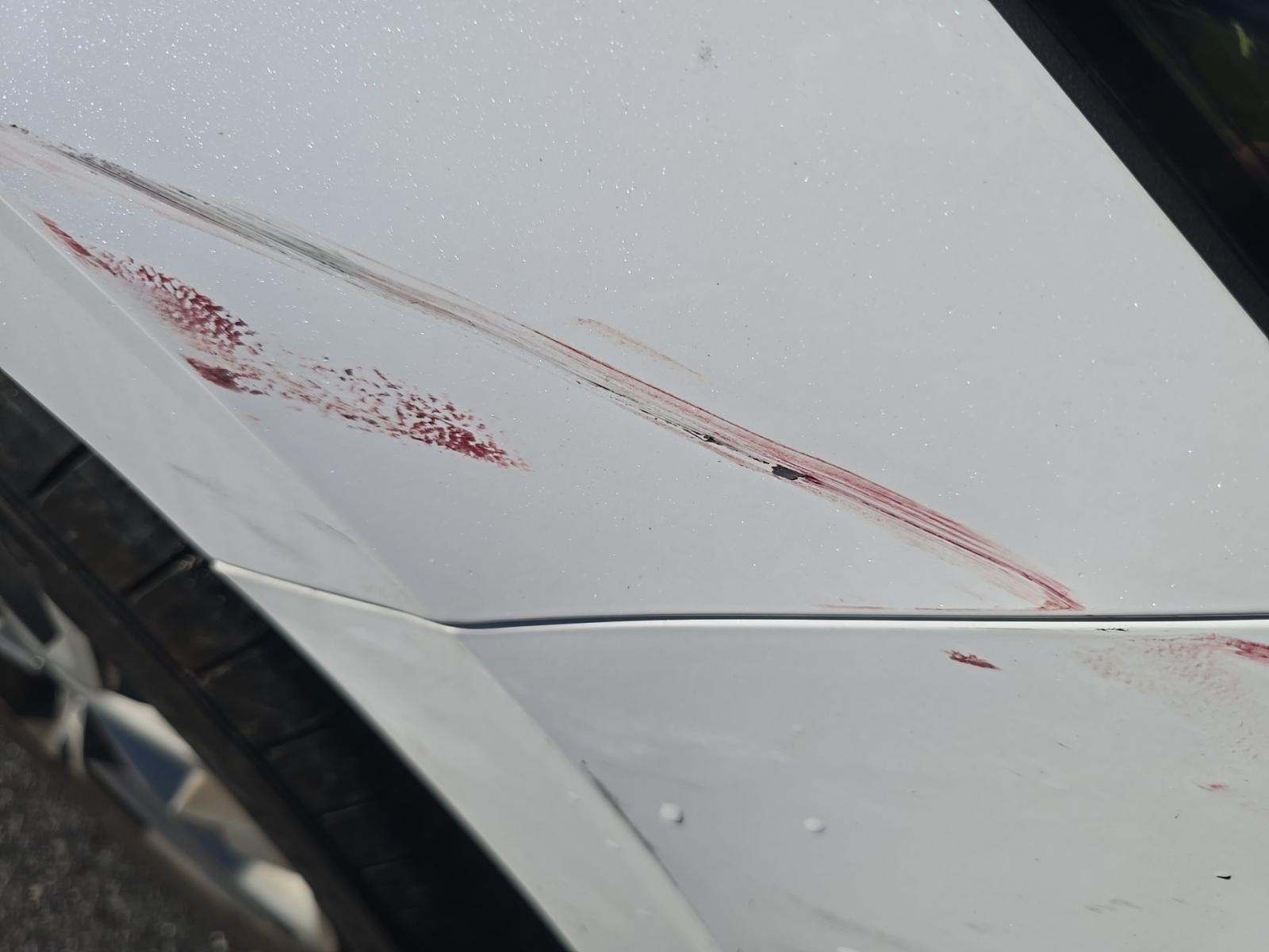 2023 Hyundai Sonata SEL FWD