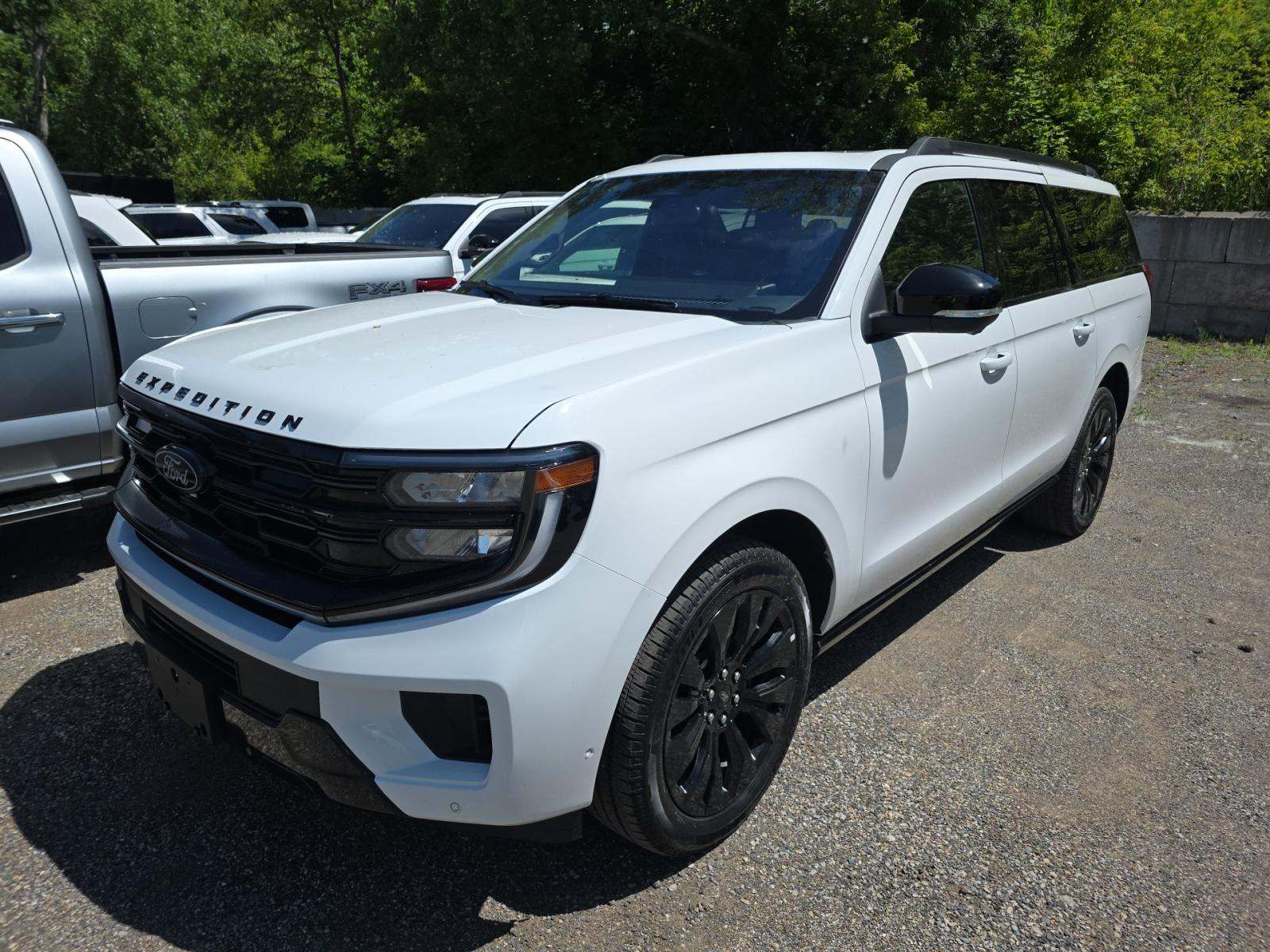 FORD EXPEDITION MAX - 1