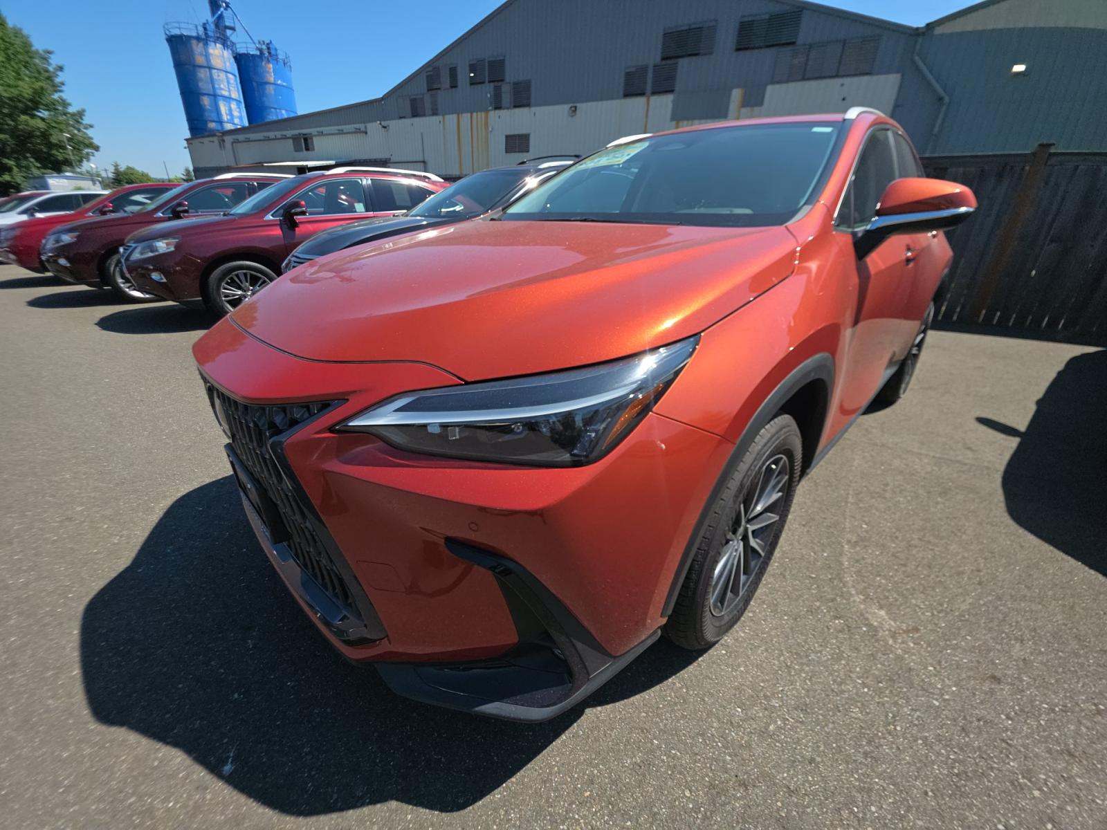 2023 Lexus NX NX 350 Premium AWD