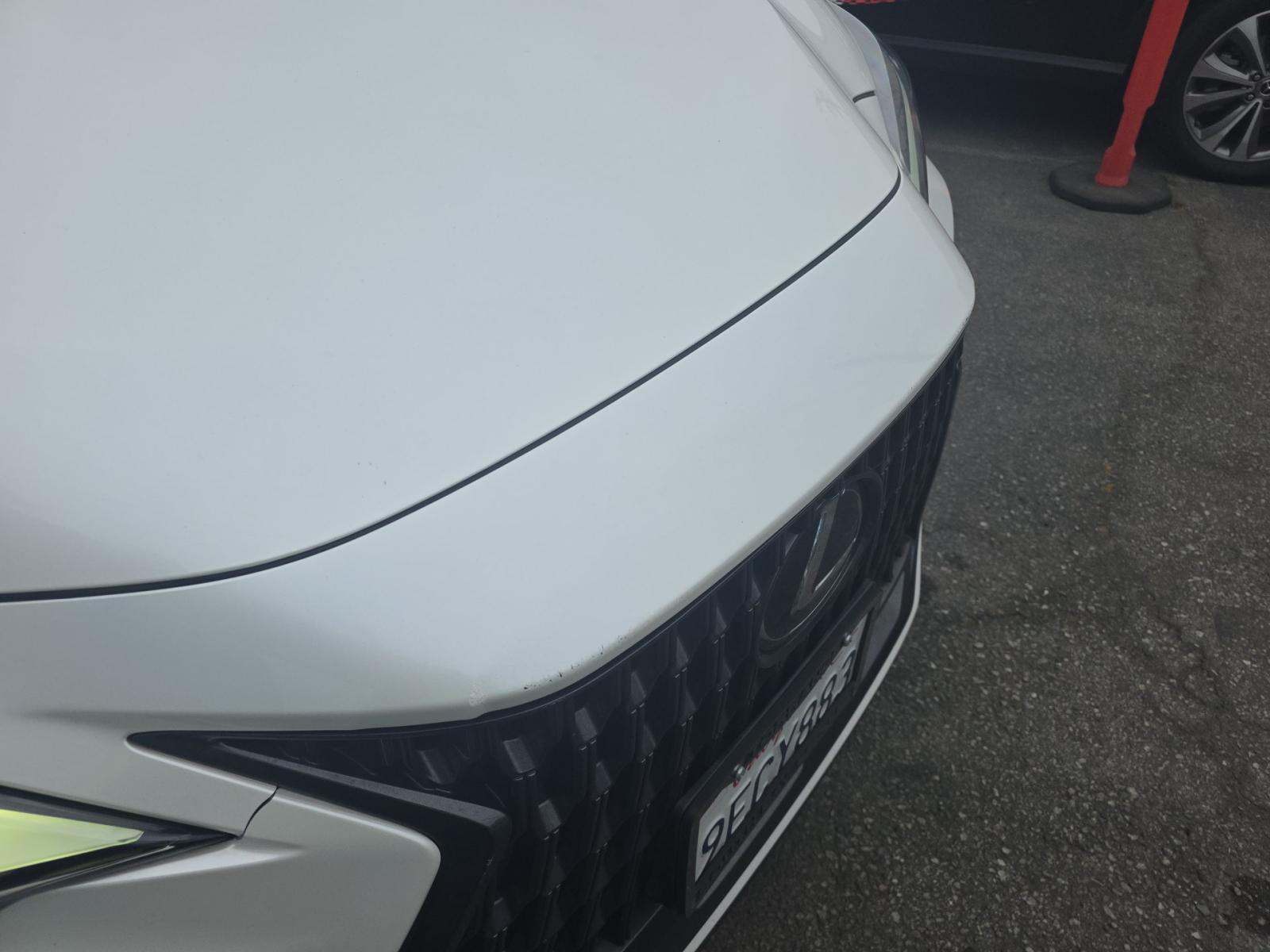 2023 Lexus NX NX 350h AWD