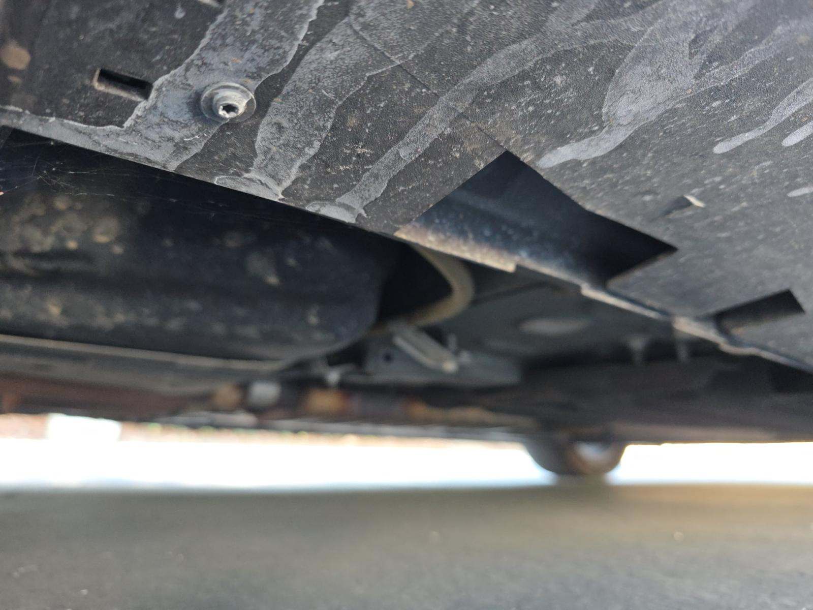 2020 Ford Mustang EcoBoost RWD