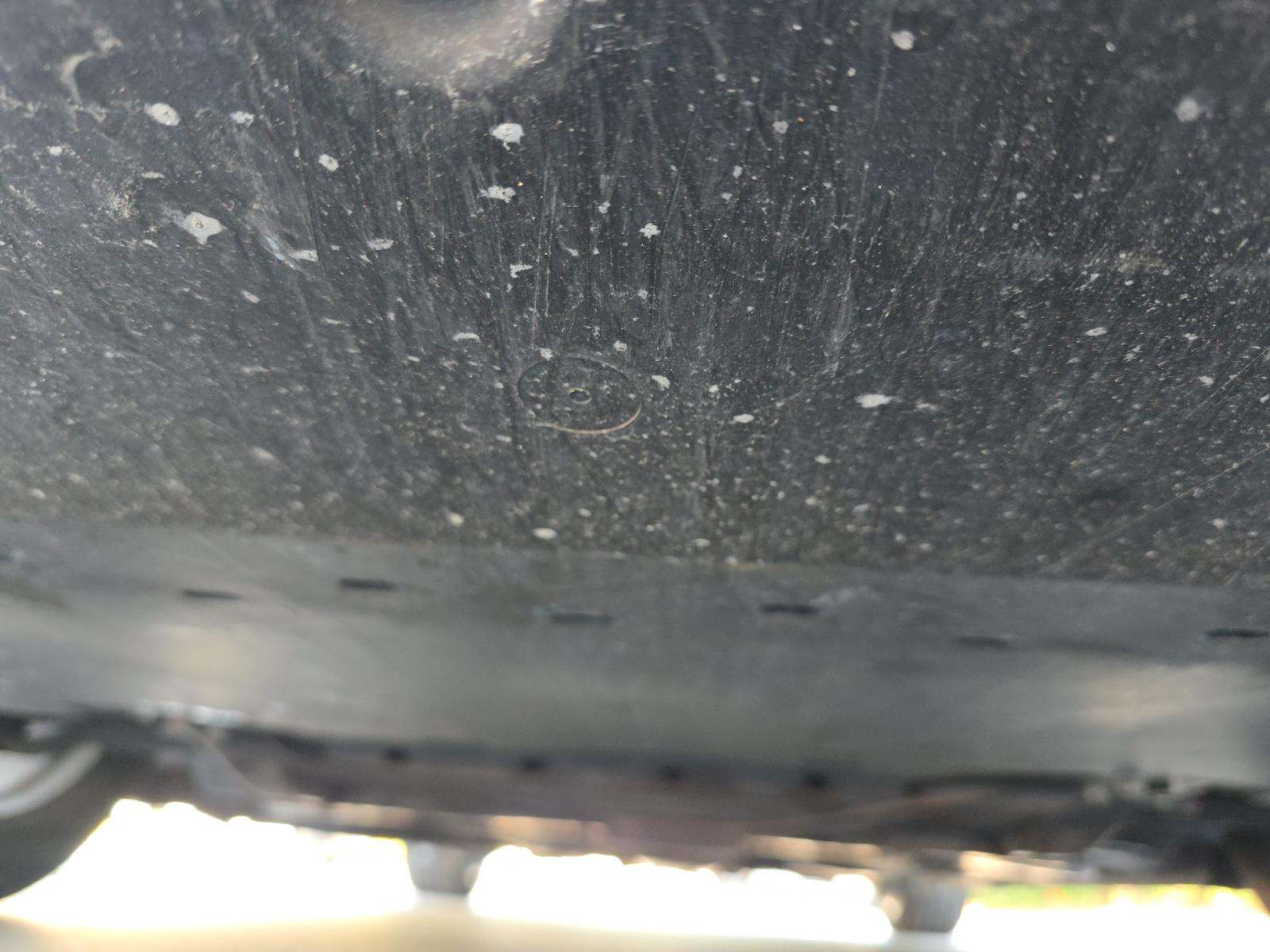 2020 Ford Mustang EcoBoost RWD