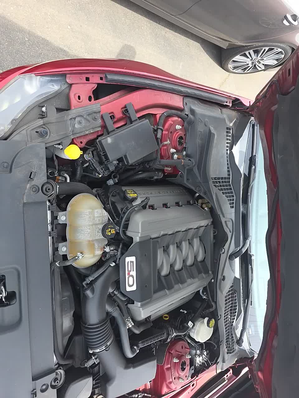 2015 Ford Mustang GT Premium RWD