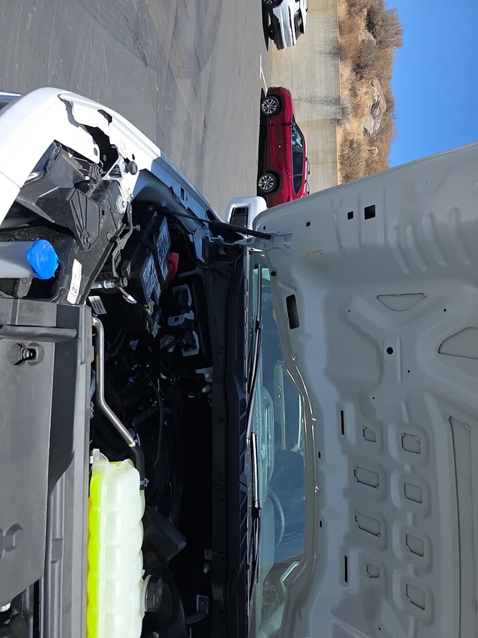 2026 Ford F-150 XL RWD