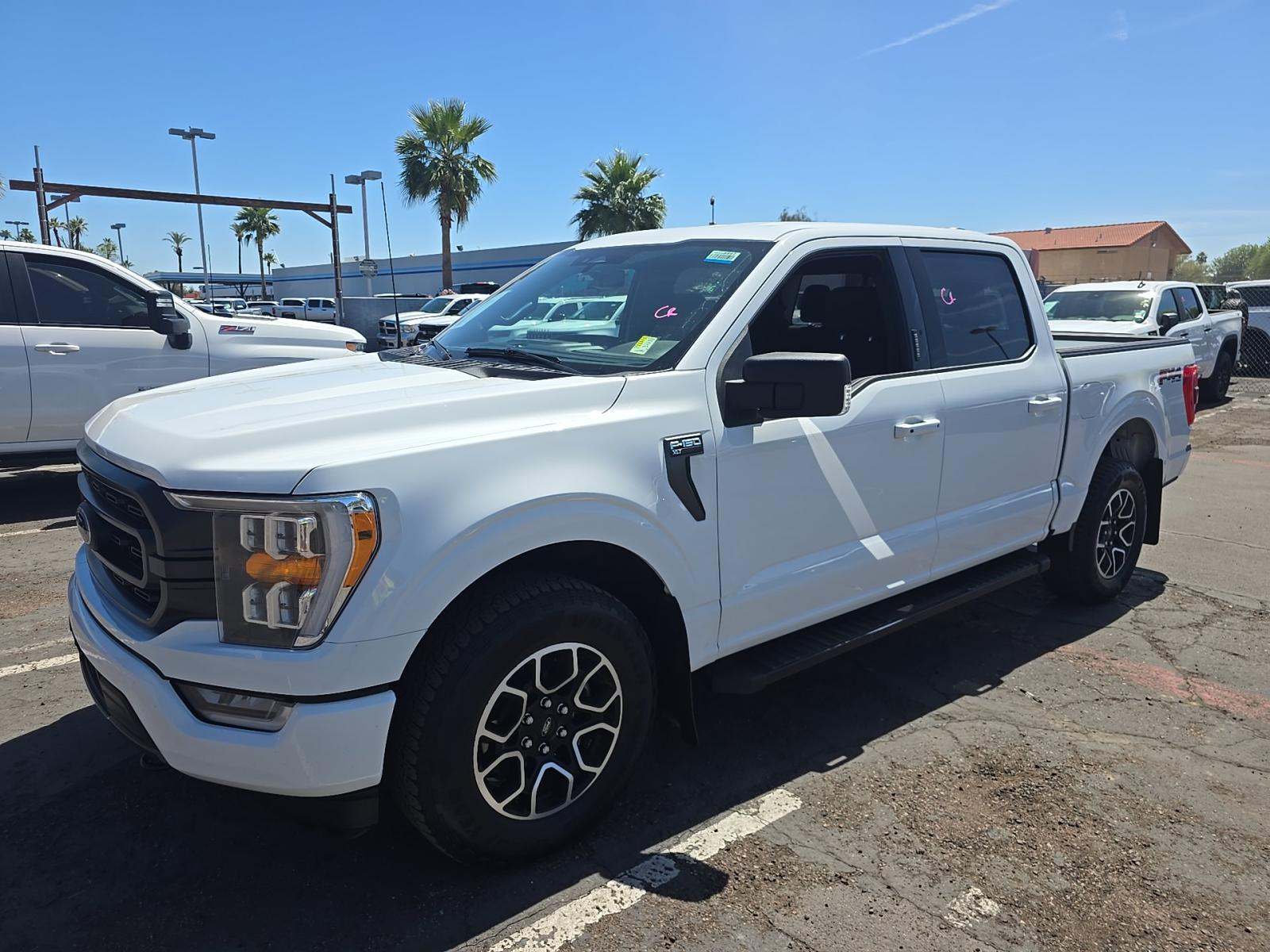 FORD F-150 - 1