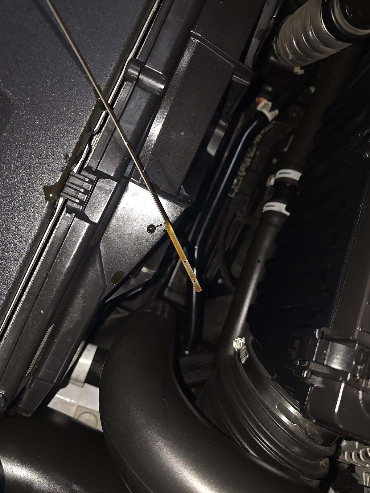 2024 Ford Mustang EcoBoost Premium RWD