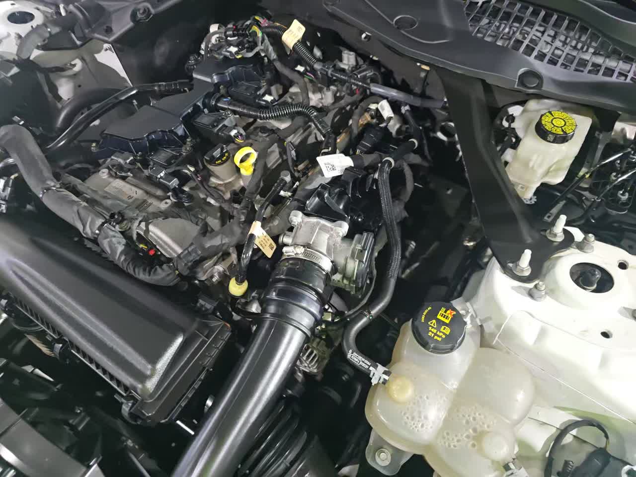 2024 Ford Mustang EcoBoost Premium RWD