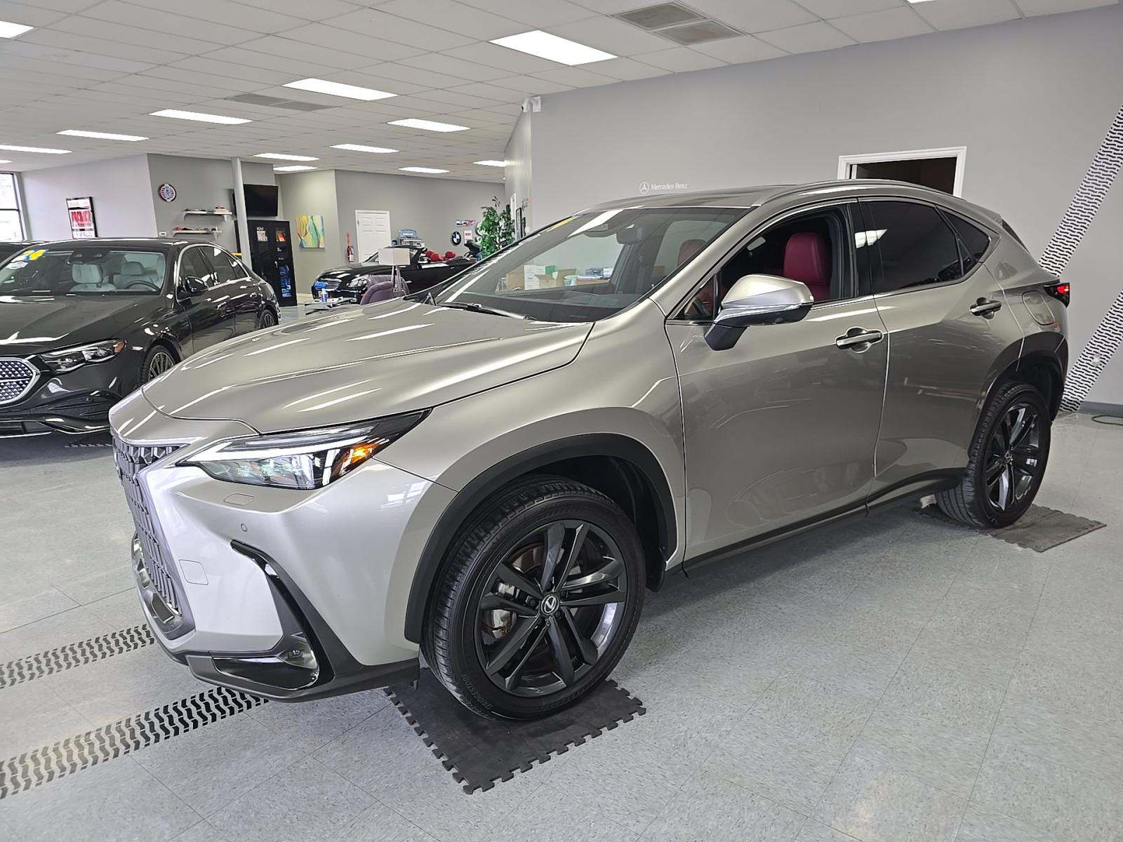 2024 Lexus NX NX 450h Luxury AWD