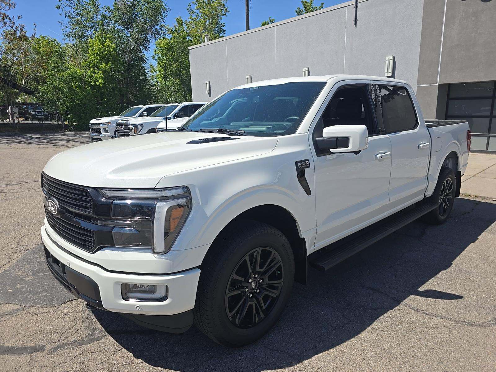 FORD F-150 - 1