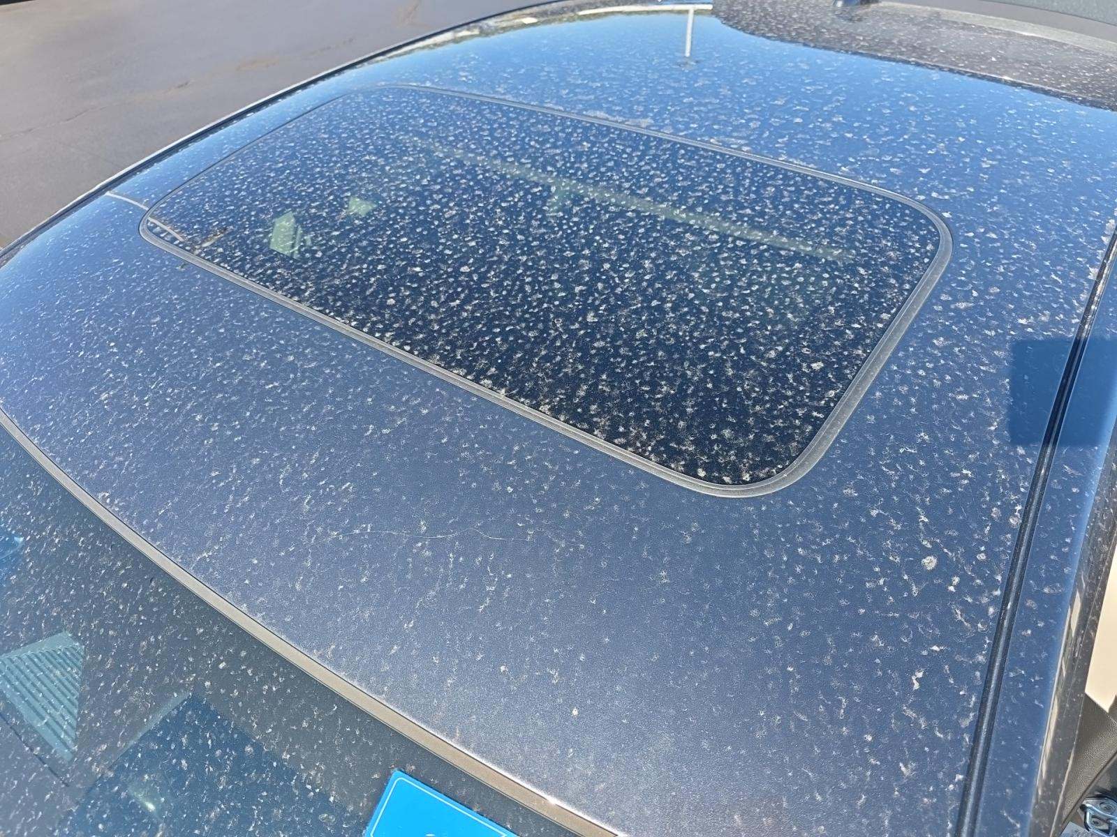 2023 Honda Accord Hybrid EX-L FWD