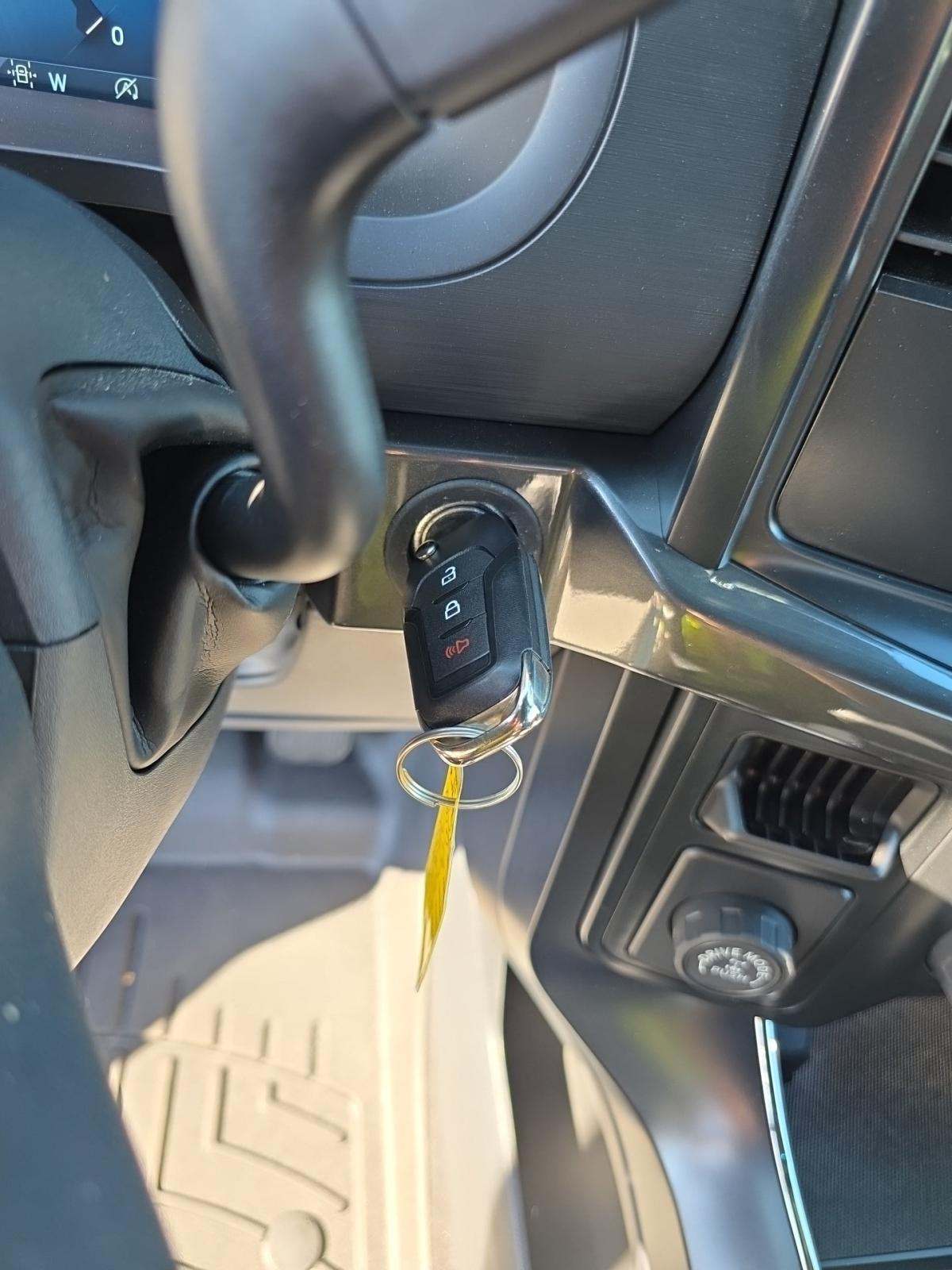 2024 Ford F-150 STX RWD