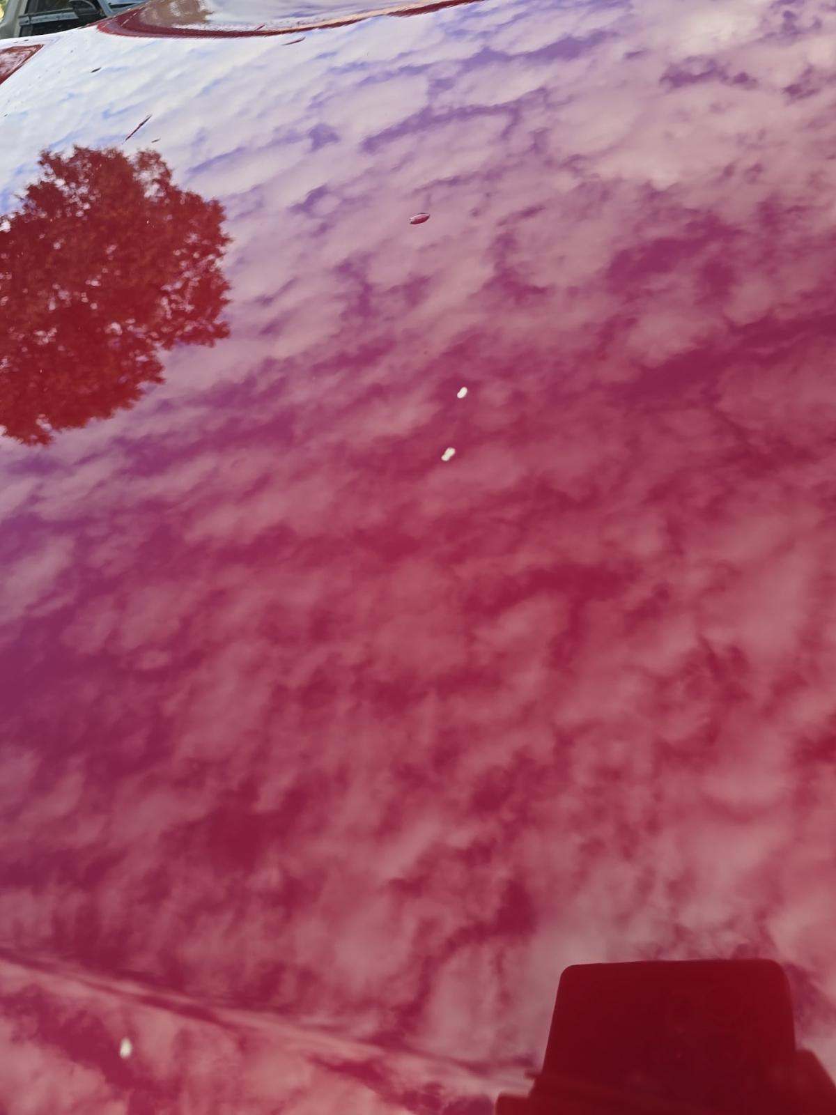 2023 Toyota RAV4 XLE Premium AWD