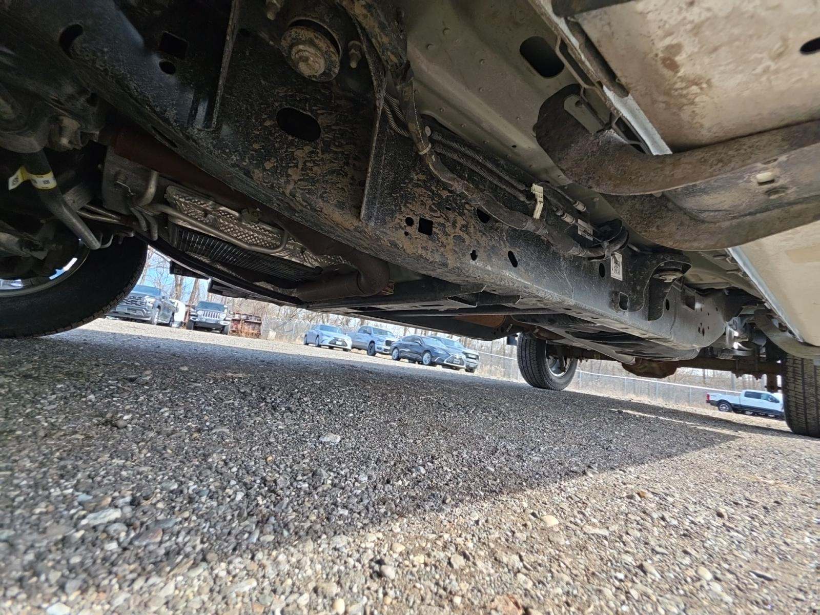 2025 Ford F-150 XLT AWD