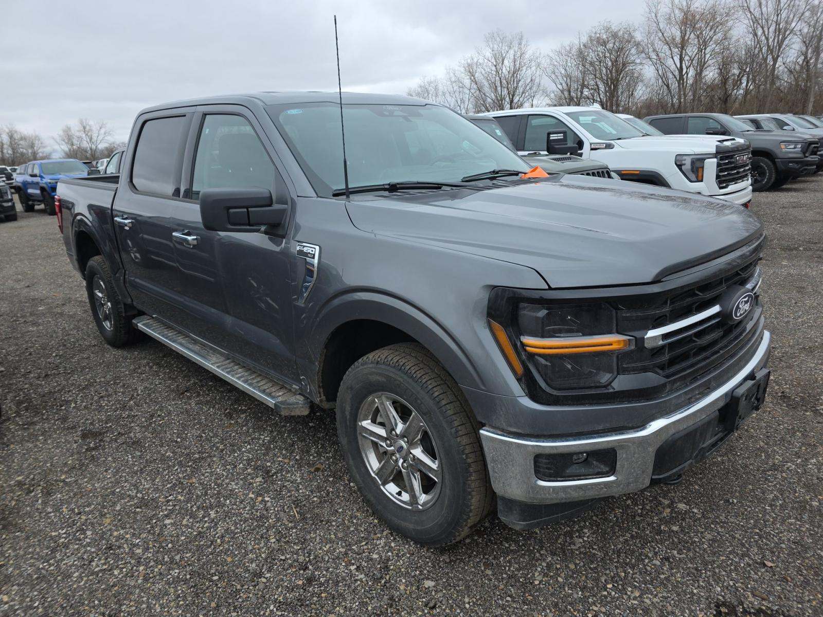2025 Ford F-150 XLT AWD