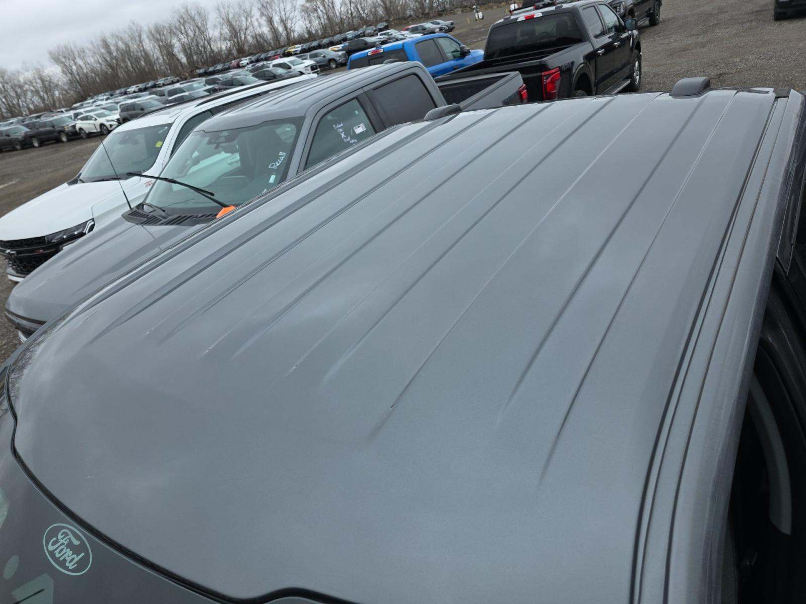 2025 Ford F-150 XLT AWD