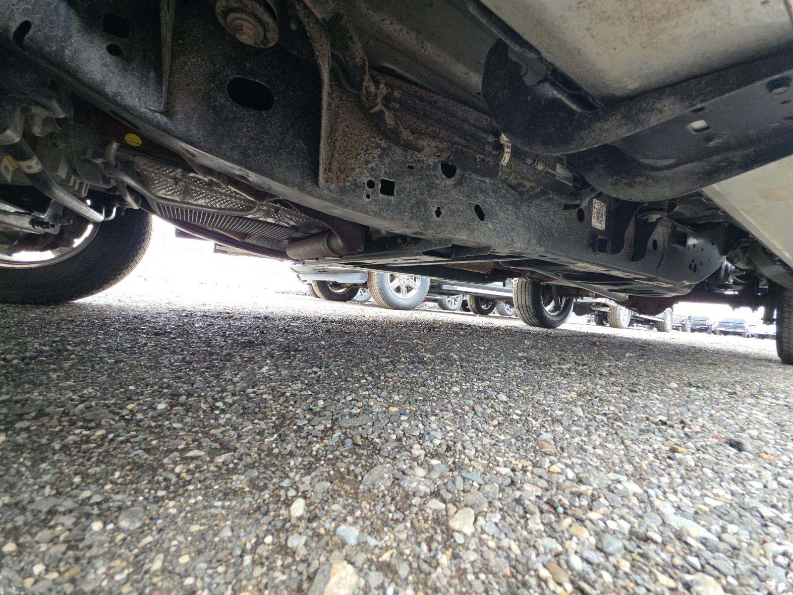 2025 Ford F-150 XLT AWD