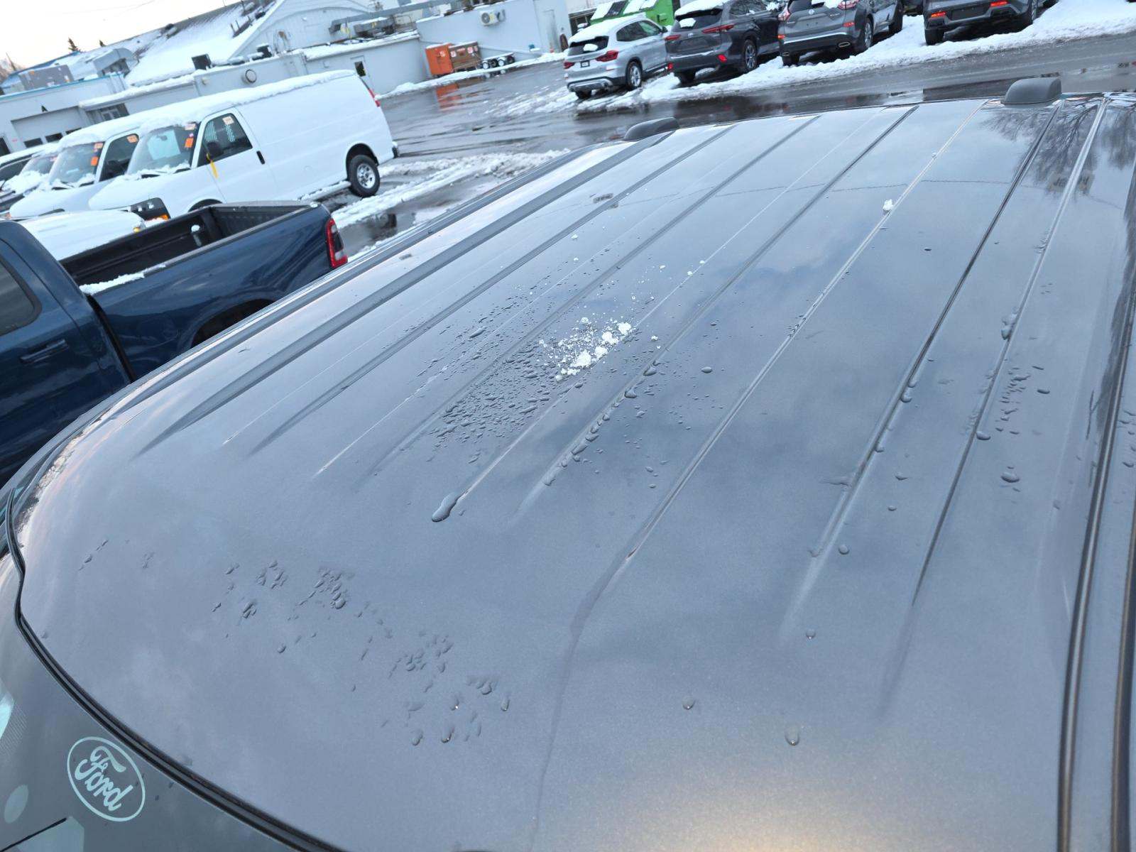 2024 Ford F-150 XLT AWD