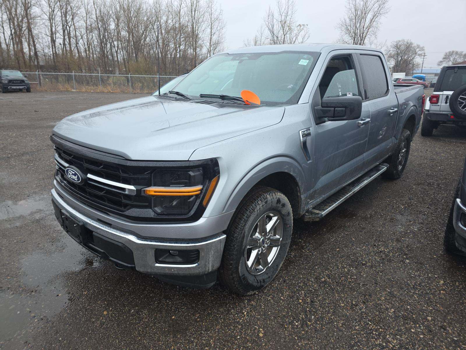 FORD F-150 - 1