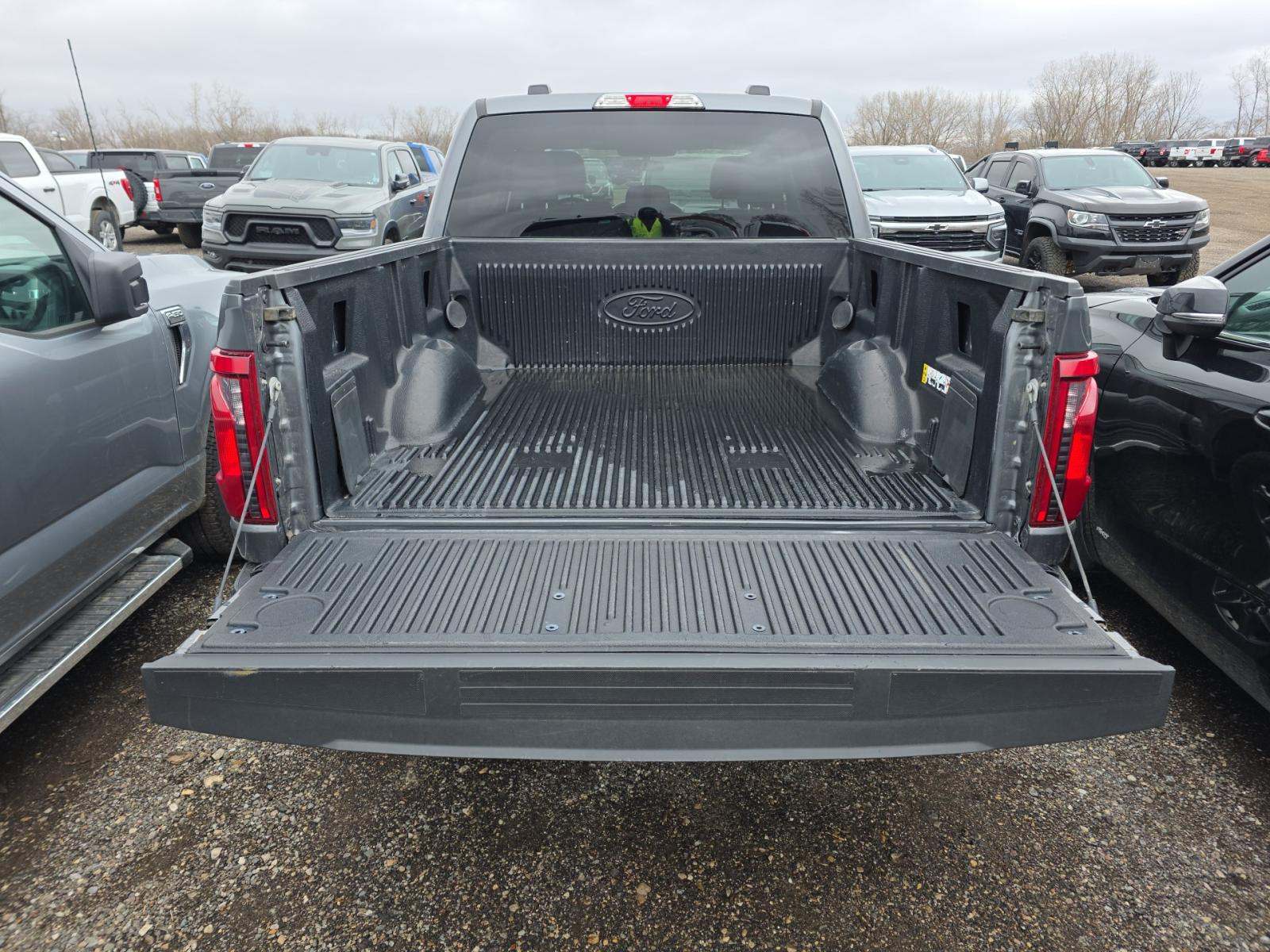 2025 Ford F-150 XLT AWD