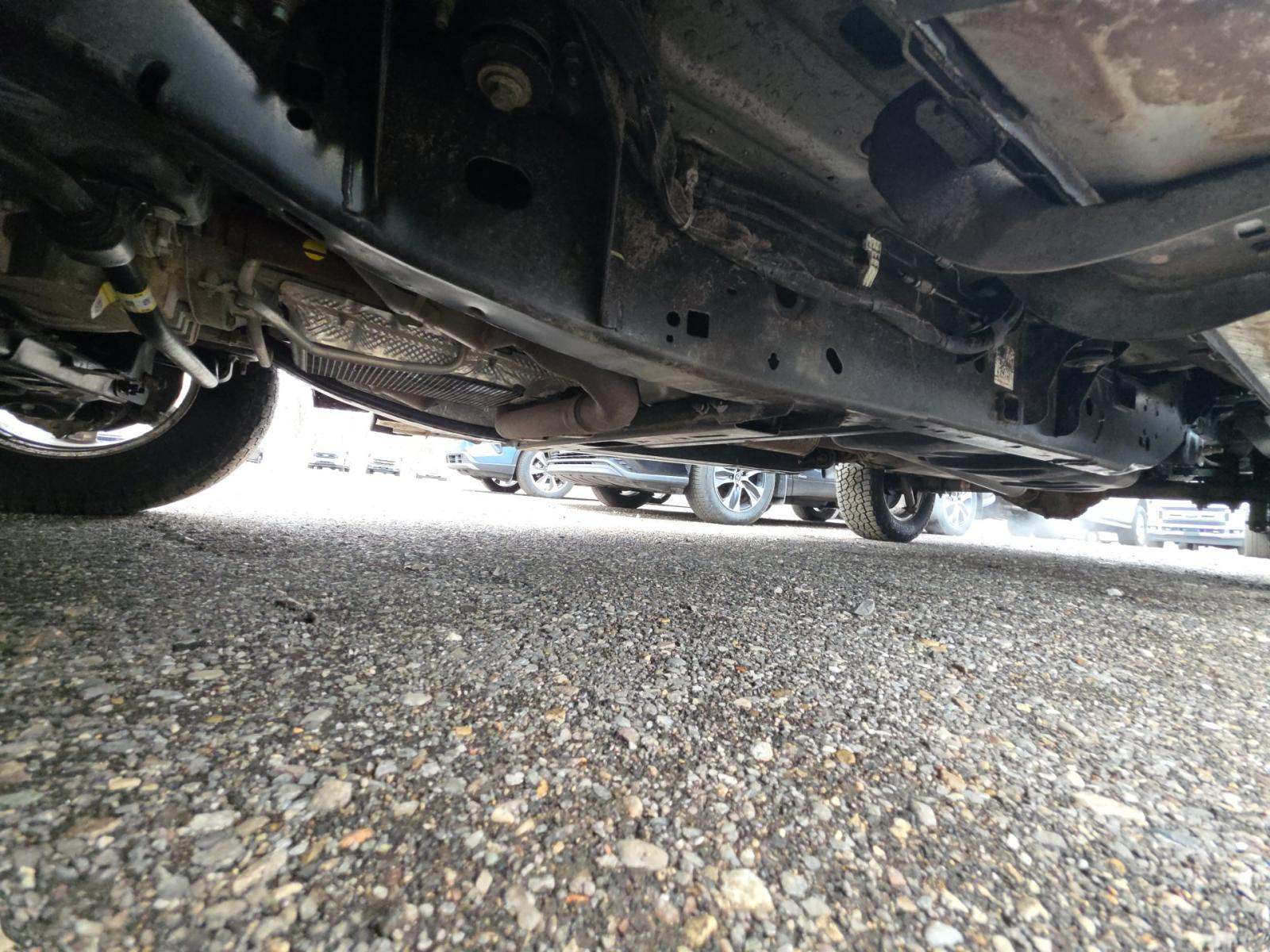 FORD F-150 - 7