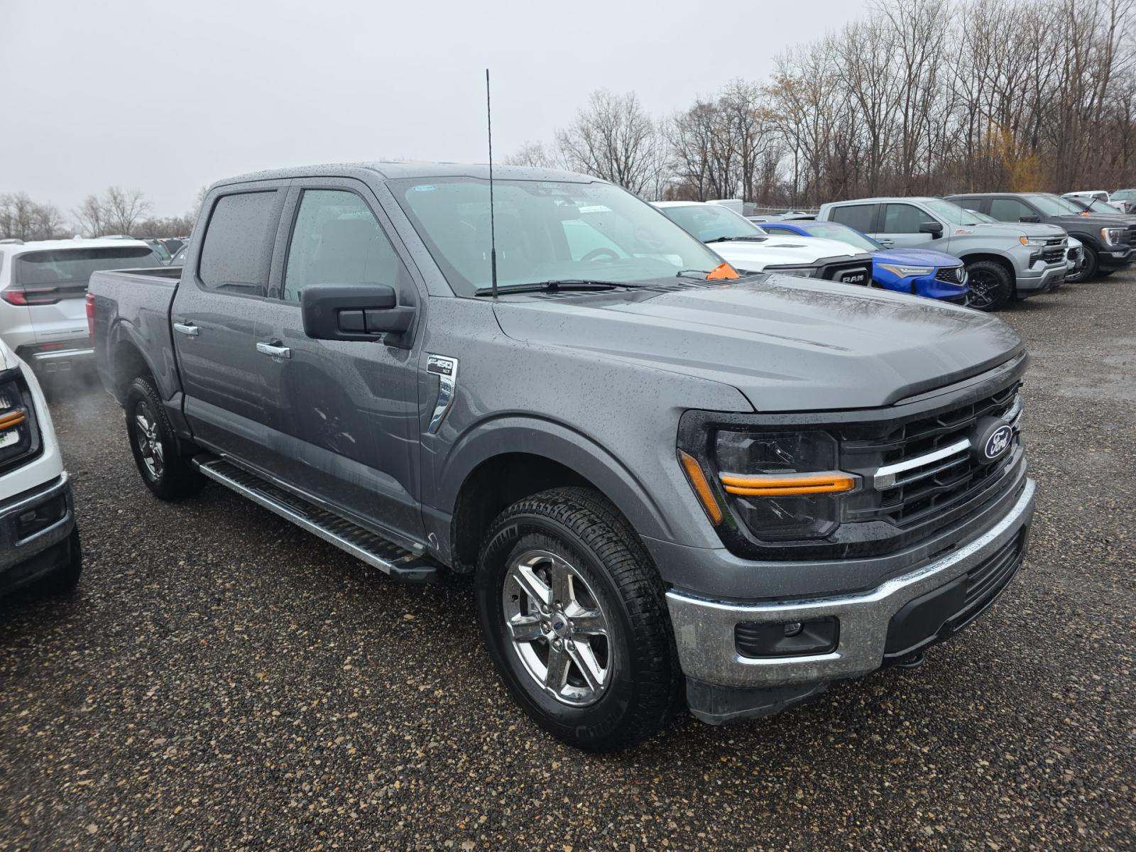 2025 Ford F-150 XLT AWD