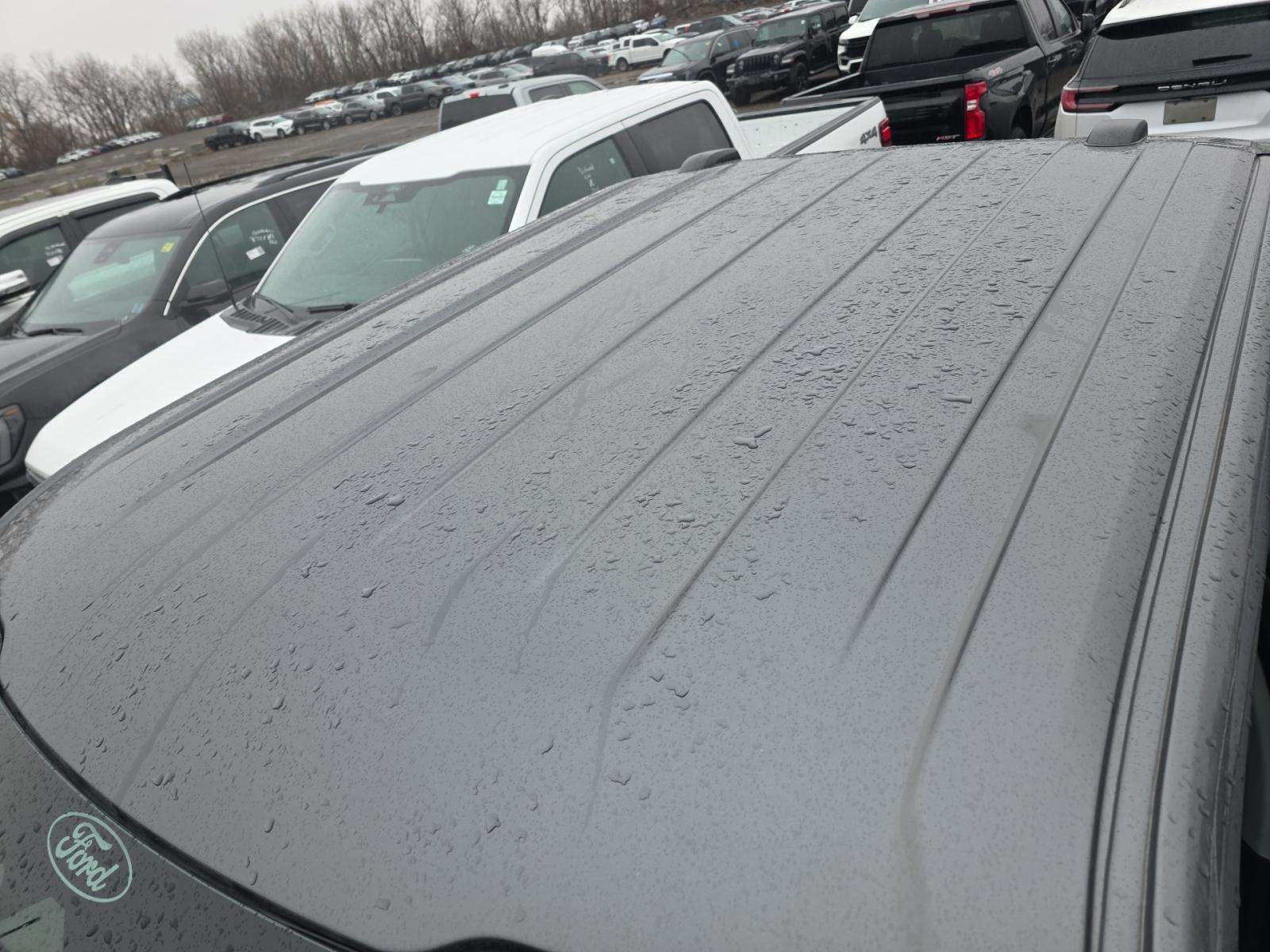 2025 Ford F-150 XLT AWD