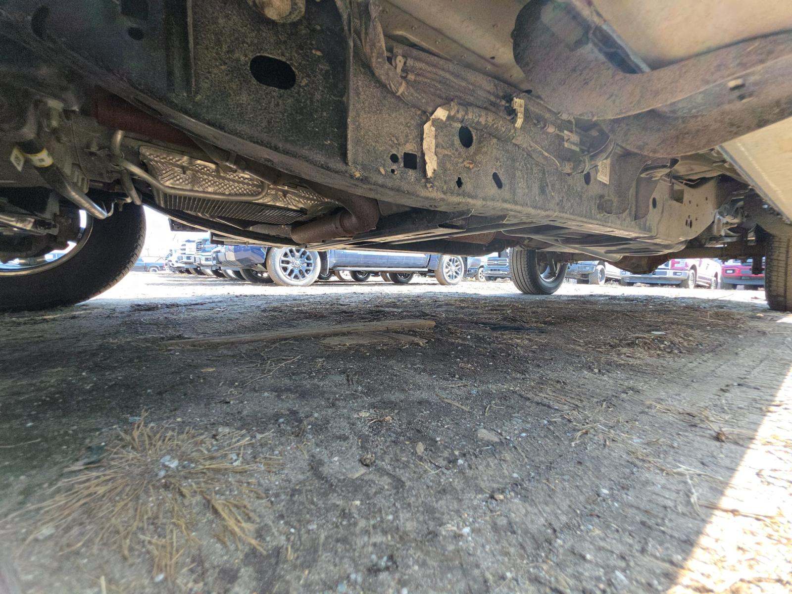 2025 Ford F-150 XLT AWD