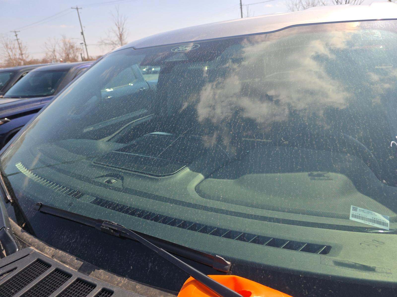 2025 Ford F-150 XLT AWD