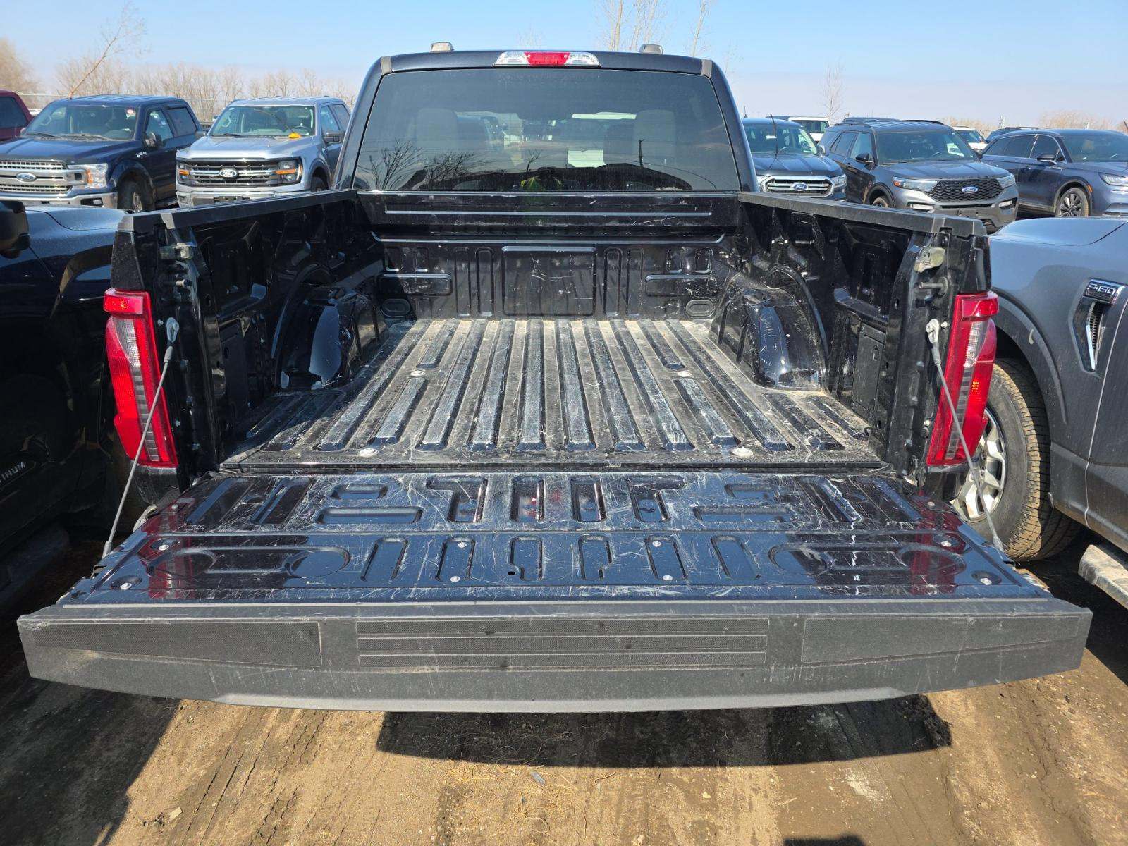 2025 Ford F-150 XLT AWD