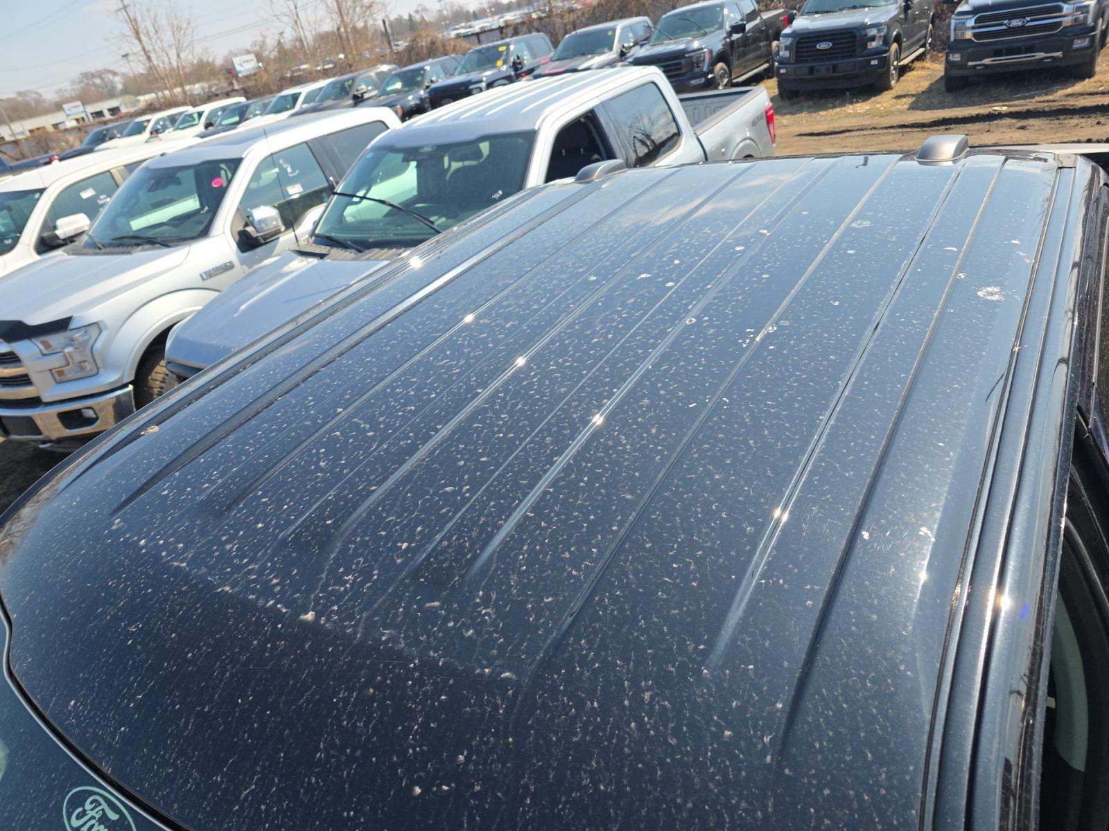 2025 Ford F-150 XLT AWD