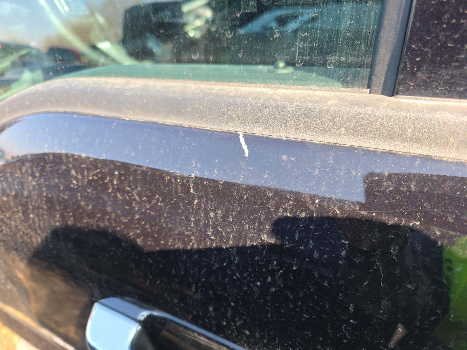 2025 Ford F-150 XLT AWD