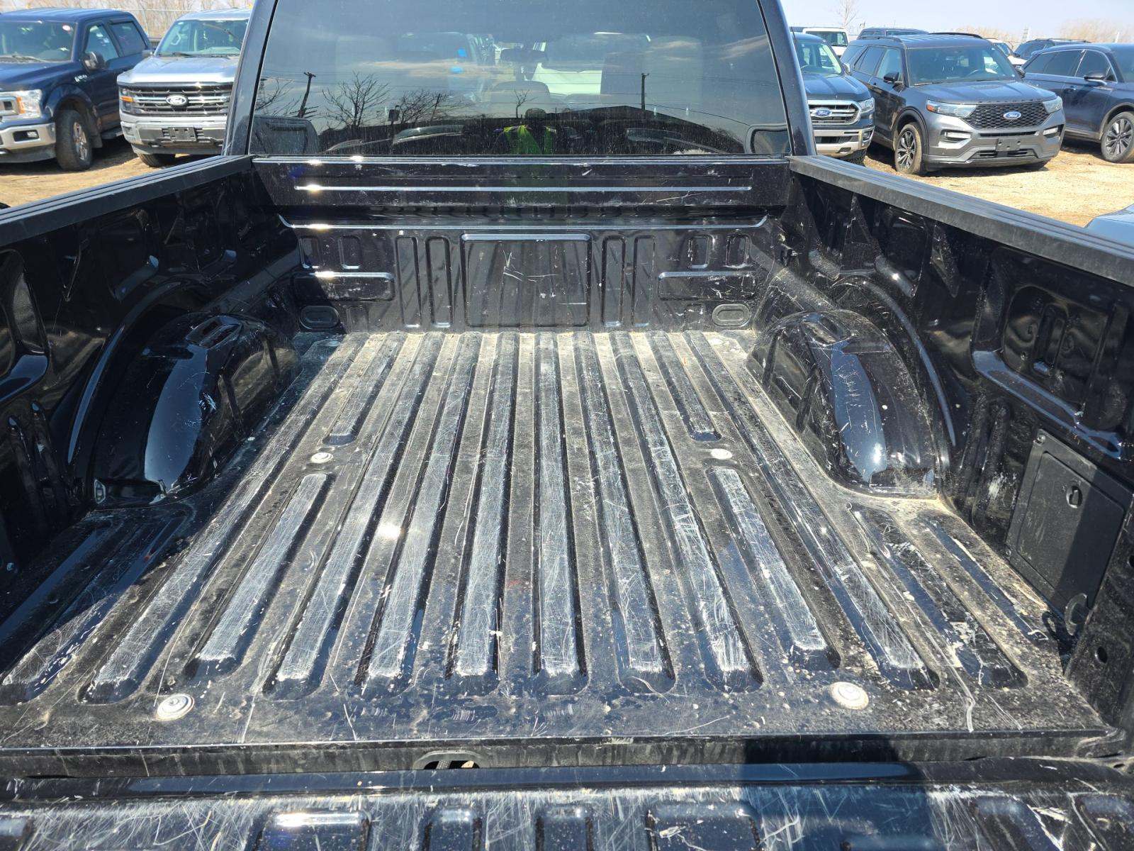 2025 Ford F-150 XLT AWD