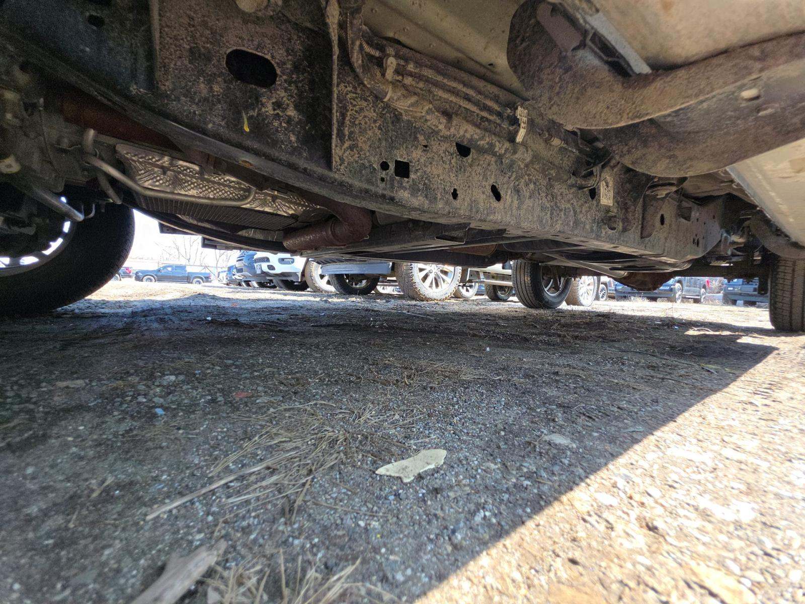 2025 Ford F-150 XLT AWD